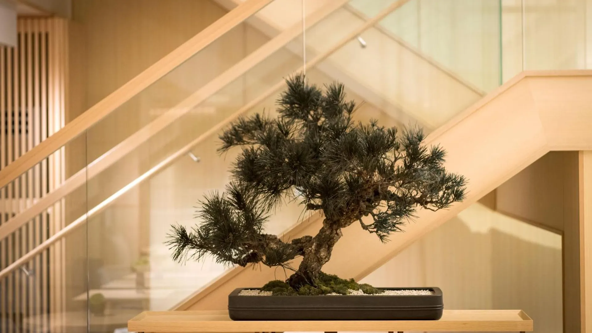 Hotel Doubletree By Hilton Kyoto Higashiyama Japan