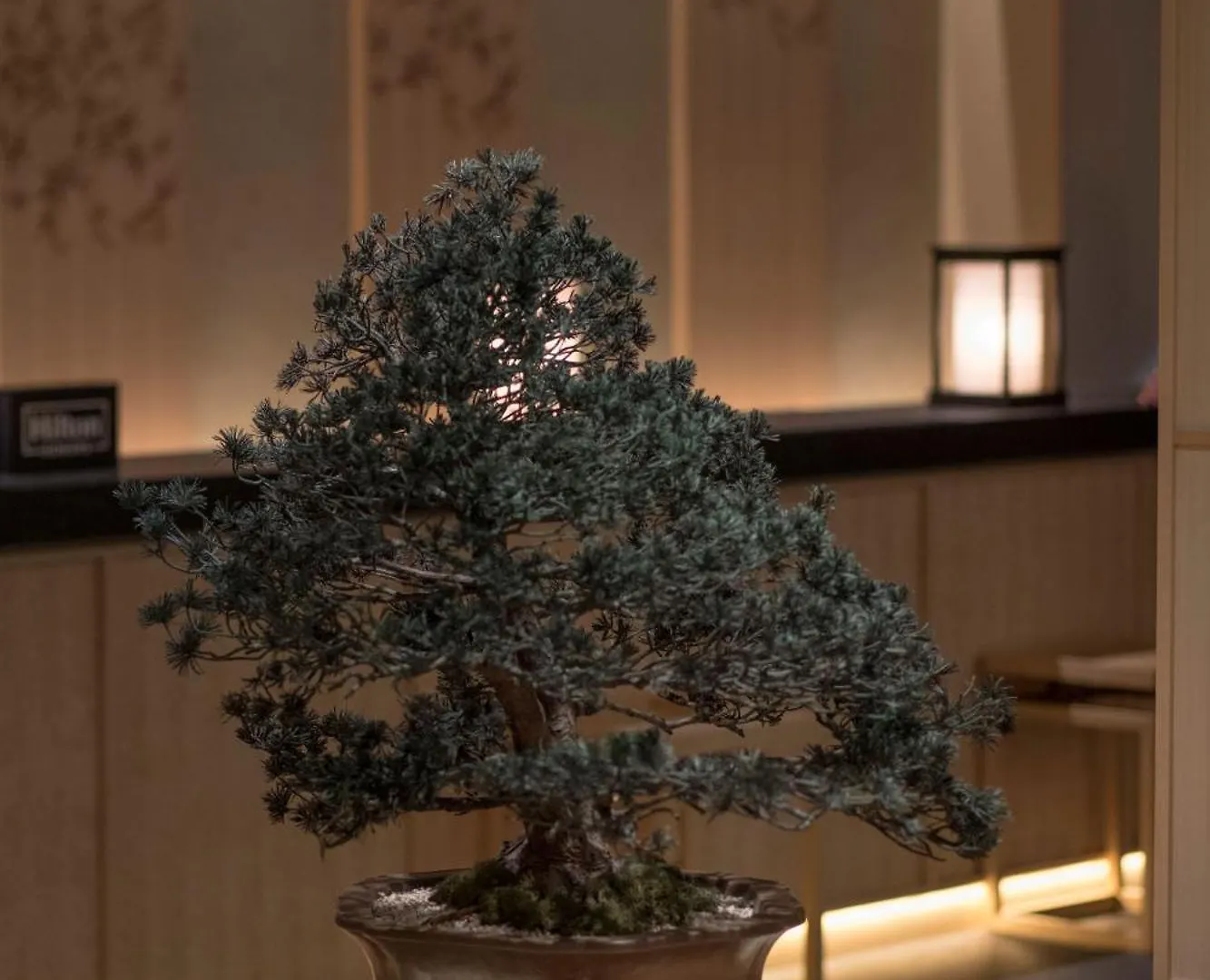 Hotel Doubletree By Hilton Kyoto Higashiyama